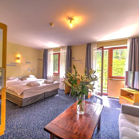 Jelenia Struga Medical 4* Kowary