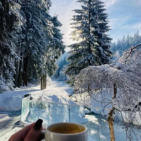 Hotel Jelenia Struga Medical 4*