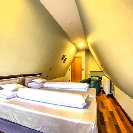 Hotel Jelenia Struga Medical 4*
