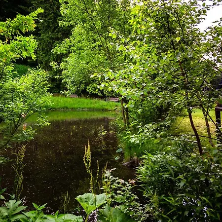 Jelenia Struga Medical 4* Kowary