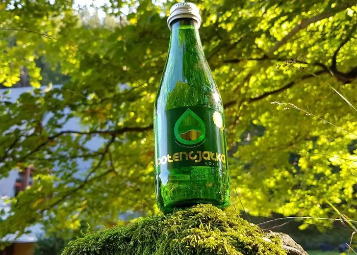 Otel Jelenia Struga Medical