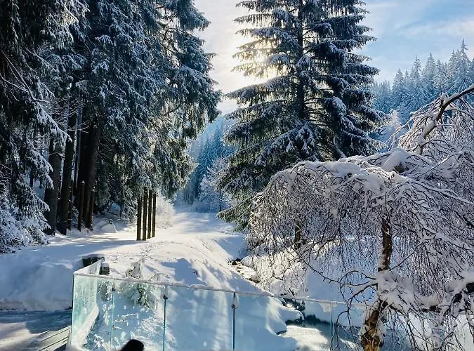 Otel Jelenia Struga Medical 4*