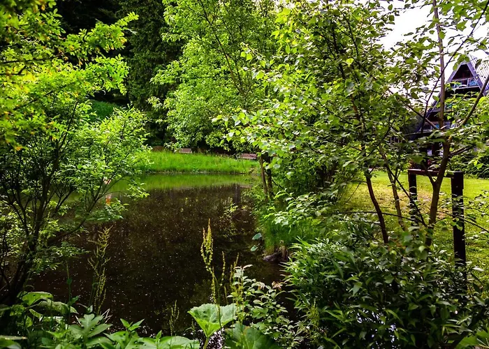 Jelenia Struga Medical 4* Kowary